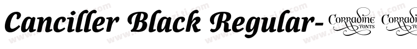 Canciller Black Regular字体转换